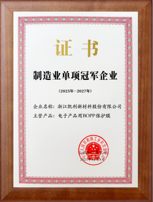 Single Champion Enterprise in Manufacturing
