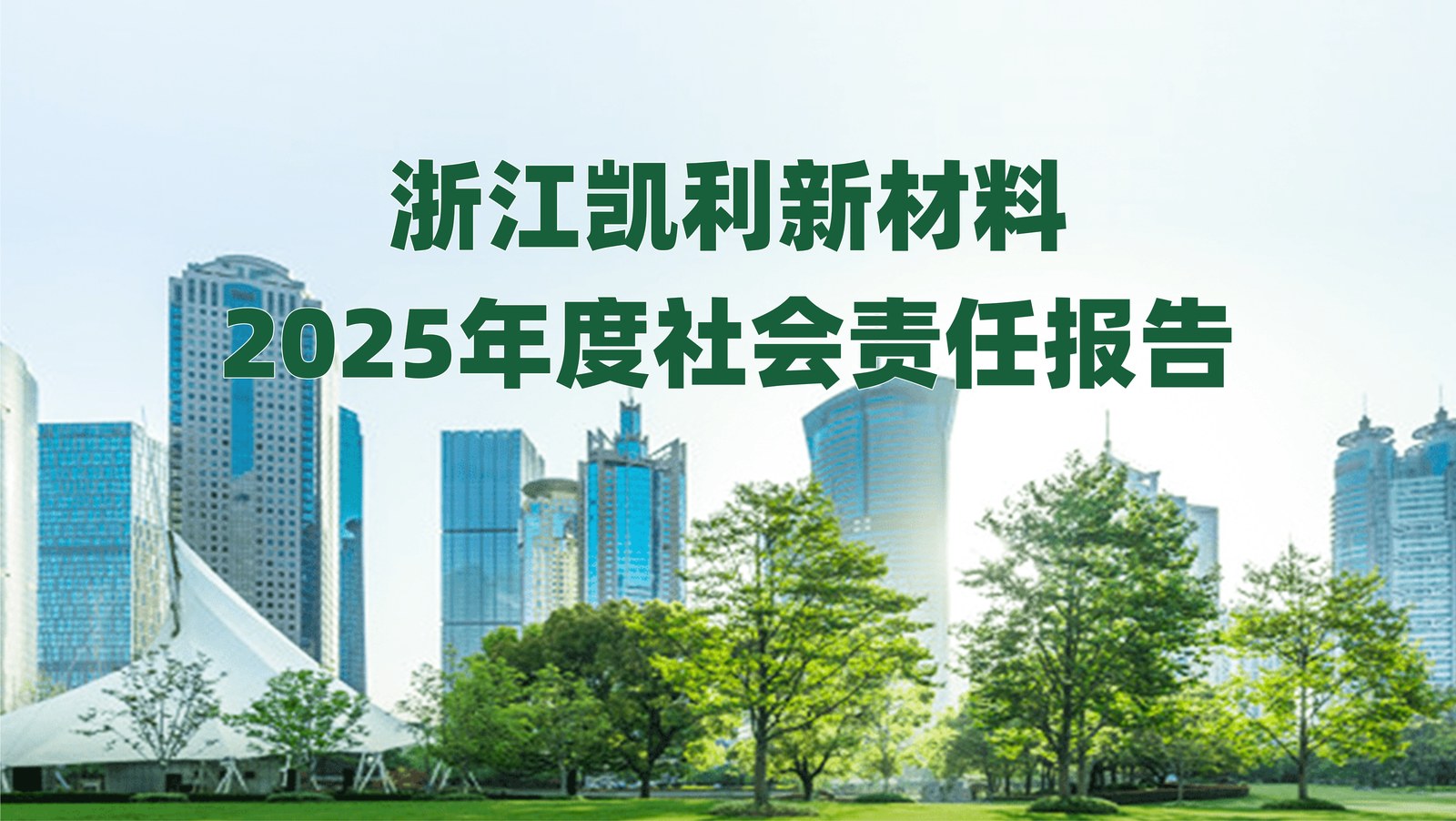 浙江凯利新材料股份有限公司2025年度社会责任报告